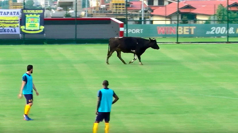 A ridiculous moment in football. Bullfighting with a ball